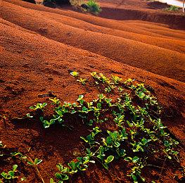 魂类×海盗×哈迪斯《深渊之印》新预告公开，1月登陆PC和主机，Demo现可体验